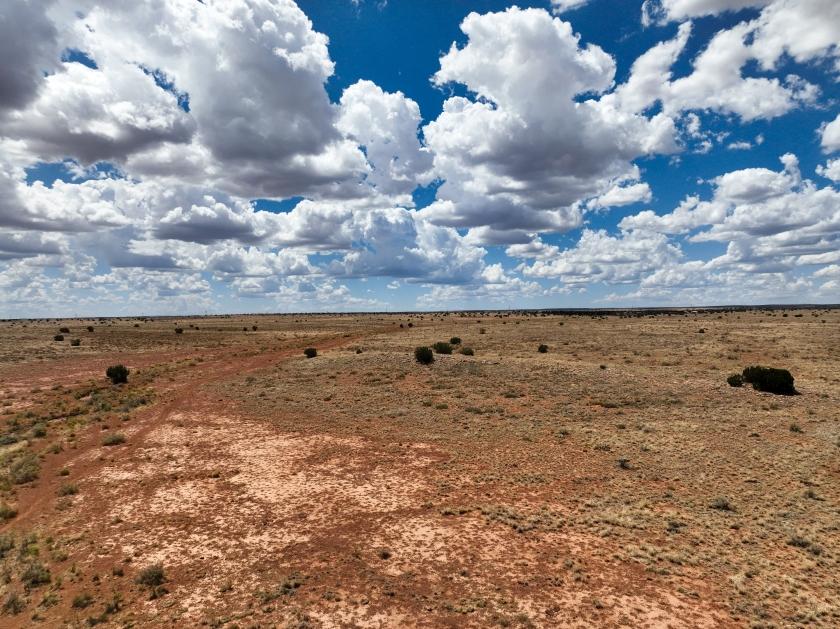 80 Acres for Sale in Winslow, Arizona