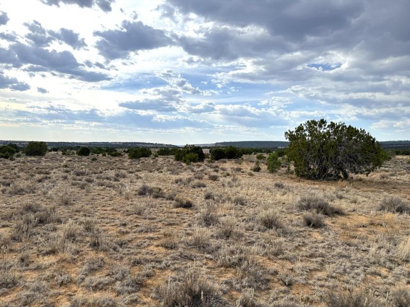 2.50 Acres for Sale in Pinehill, New Mexico