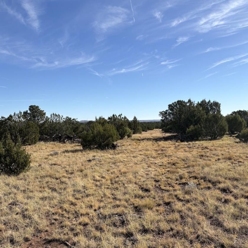 12.36 Acres for Sale in Concho, Arizona