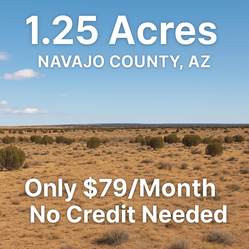1.25 Acres for Sale in Sun Valley, Arizona
