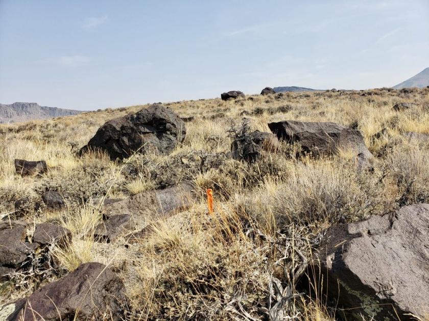 10 Acres for Sale in Montello, Nevada