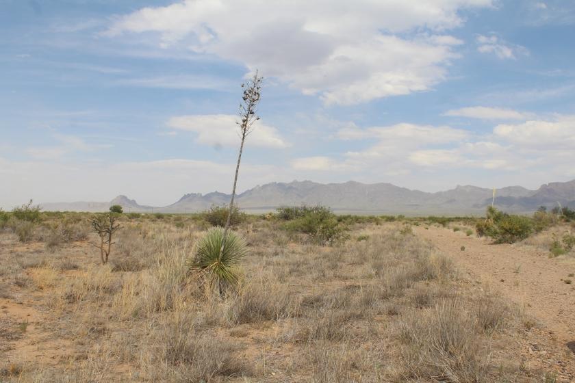 5 Acres for Sale in Deming, New Mexico