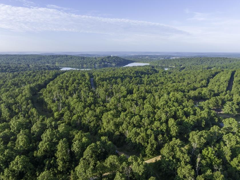 0.32 Acres for Sale in Horseshoe Bend, Arkansas