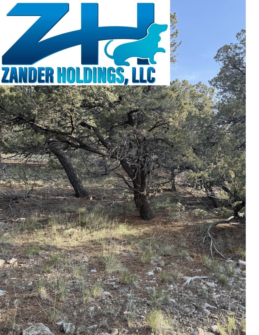 0.88 Acres for Sale in Mosca, Colorado