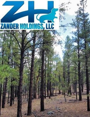 4.47 Acres for Sale in Grants, New Mexico