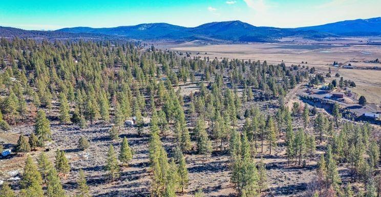 1.53 Acres for Sale in Beatty, Oregon