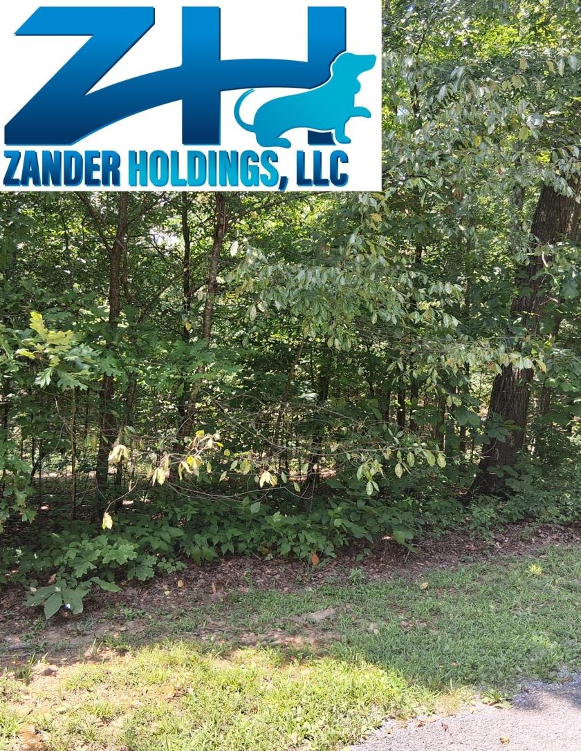 0.23 Acres for Sale in New Concord, Kentucky