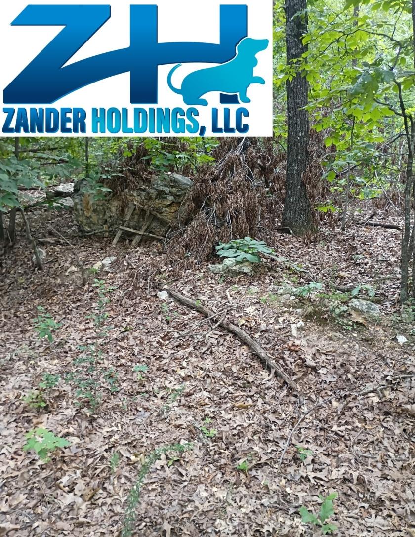 0.11 Acres for Sale in Williford, Arkansas