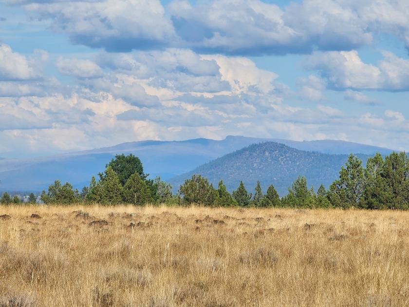 5.42 Acres for Sale in Sprague River, Oregon