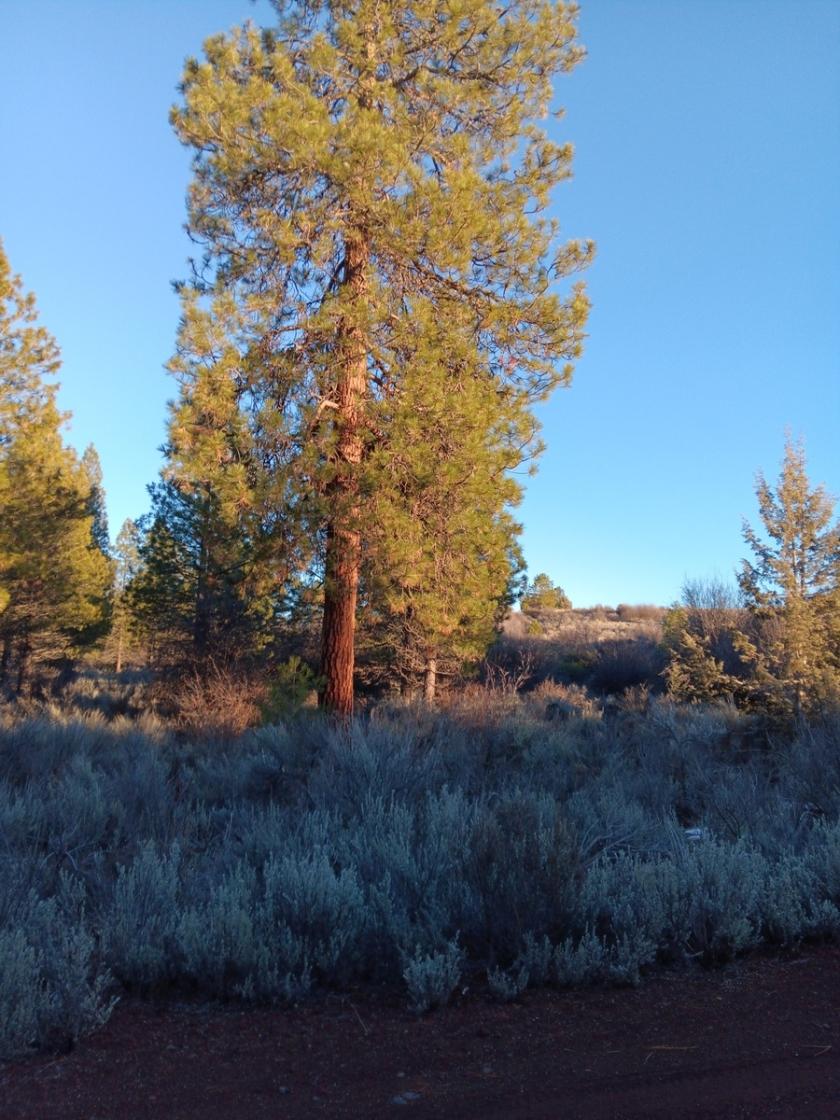 0.39 Acres for Sale in Oregon Shores, Oregon