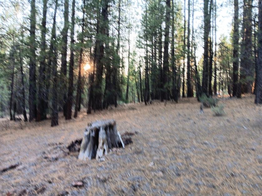 2.01 Acres for Sale in Chiloquin, Oregon