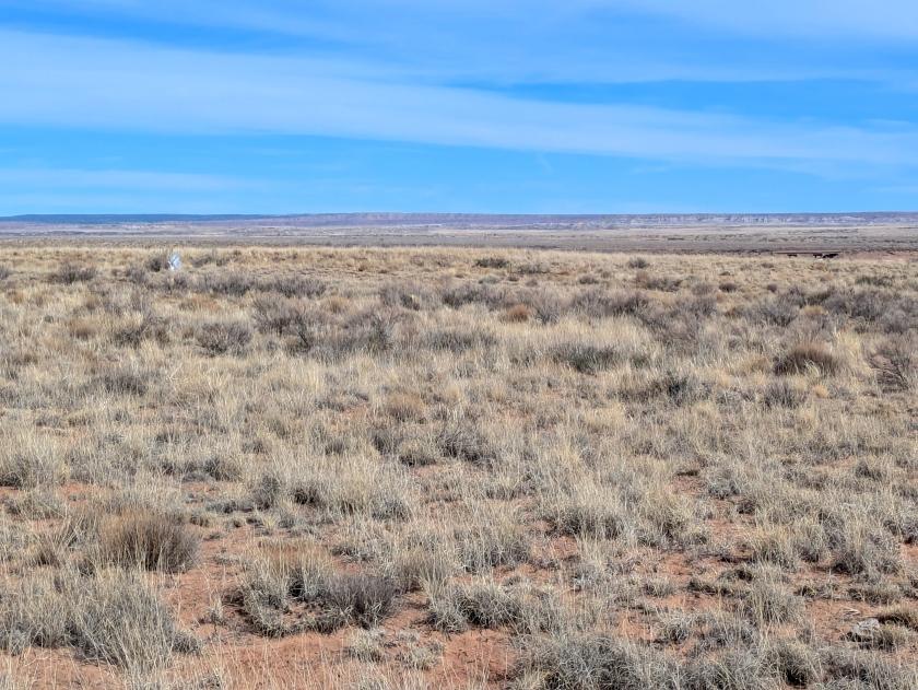1.09 Acres for Sale in Petrified Forest National Park, Arizona