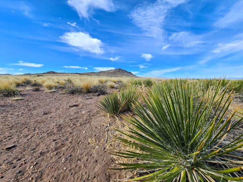 4.84 Acres for Sale in San Acacio, Colorado