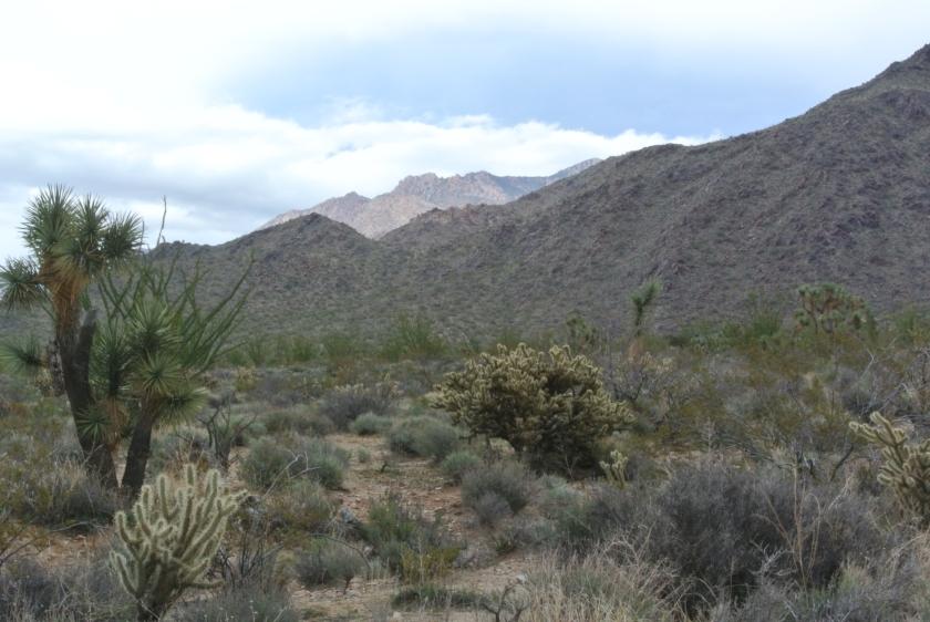 2.35 Acres for Sale in Yucca, Arizona
