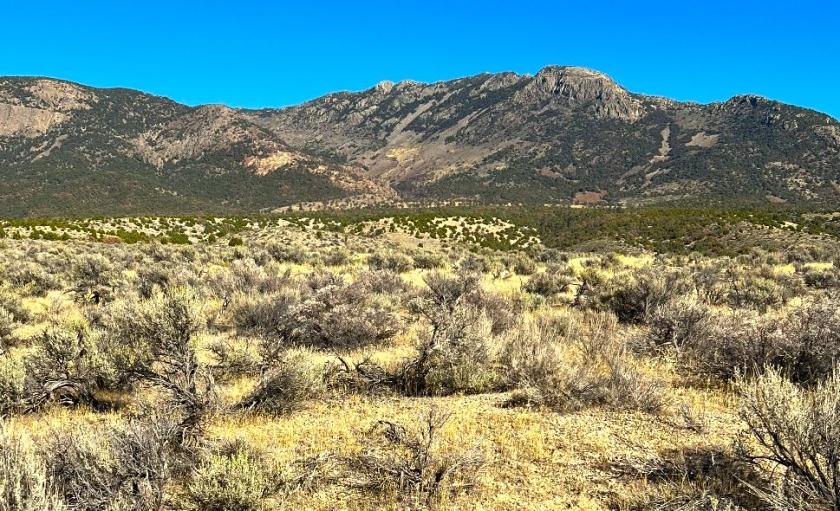 40 Acres for Sale in Montello, Nevada