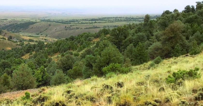 10 Acres for Sale in Montello, Nevada
