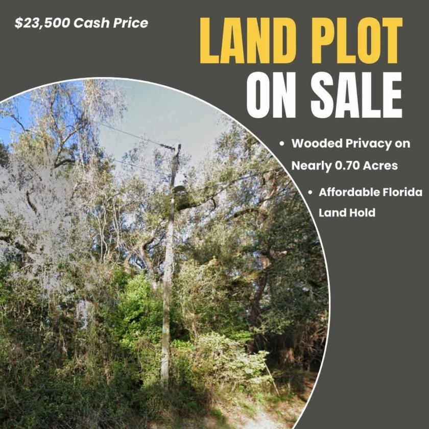 0.7 Acres for Sale in Webster, Florida