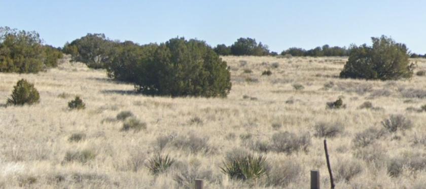 1.07 Acres for Sale in Sanders, Arizona
