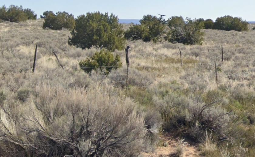 1.09 Acres for Sale in Sanders, Arizona