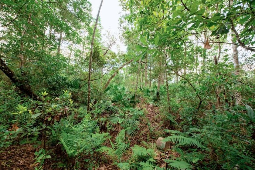 0.23 Acres for Sale in Satsuma, Florida