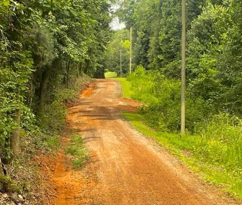 0.14 Acres for Sale in Williford, Arkansas