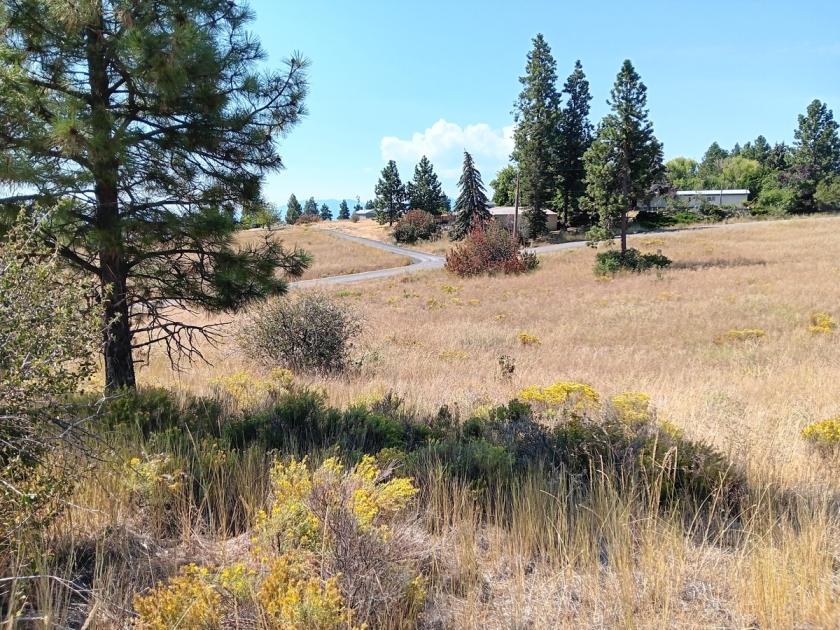 0.42 Acres for Sale in Chiloquin, Oregon