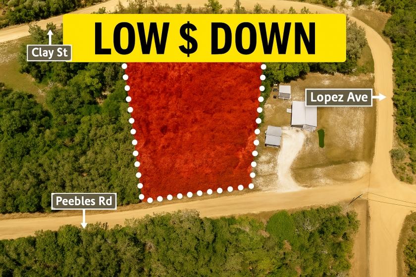 0.47 Acres for Sale in Interlachen, Florida