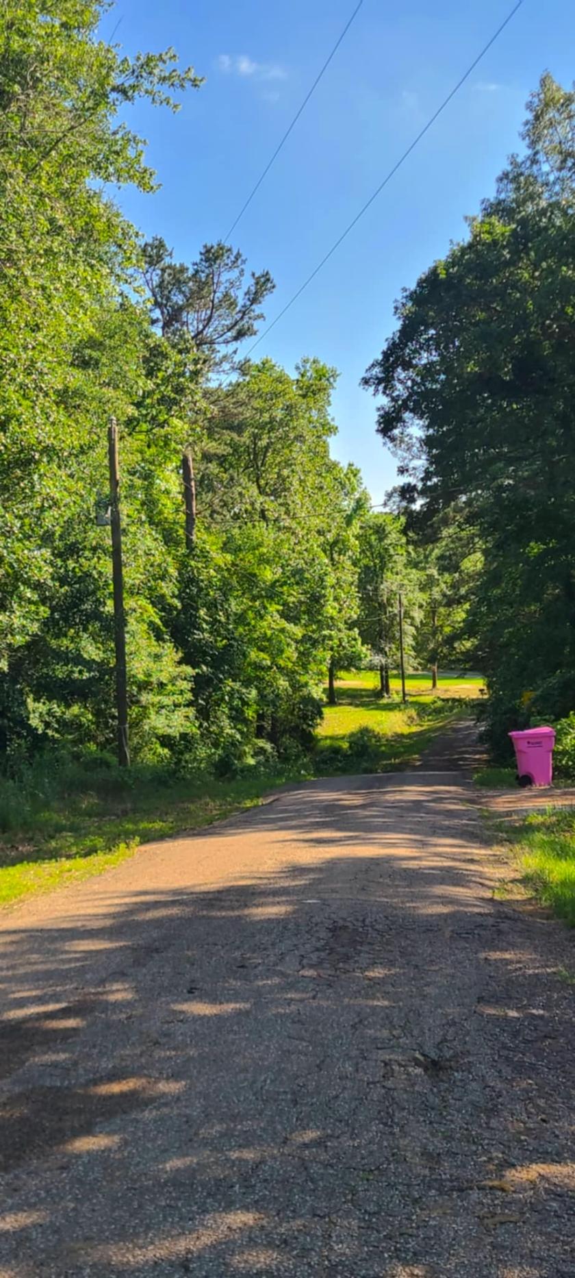 0.54 Acres for Sale in Smithland, Texas