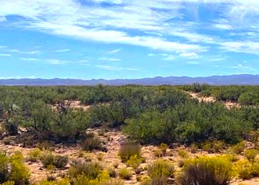 5.15 Acres for Sale in Van Horn, Texas