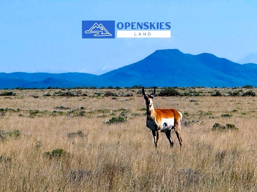 5 Acres for Sale in San Luis, Colorado