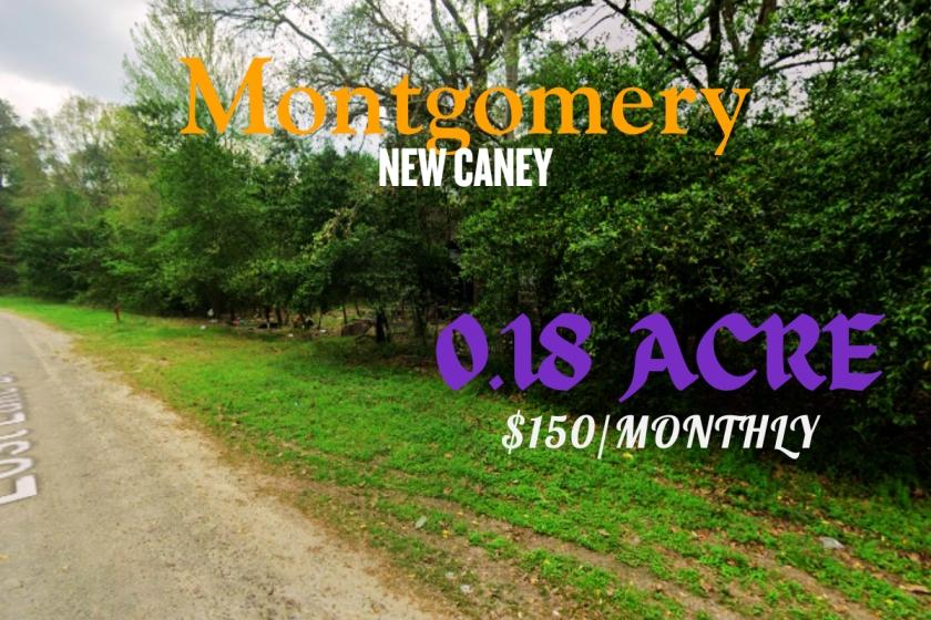 0.18 Acres for Sale in New Caney, Texas