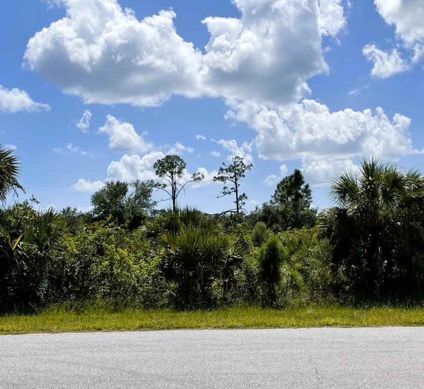 0.23 Acres for Sale in Port Charlotte, Florida