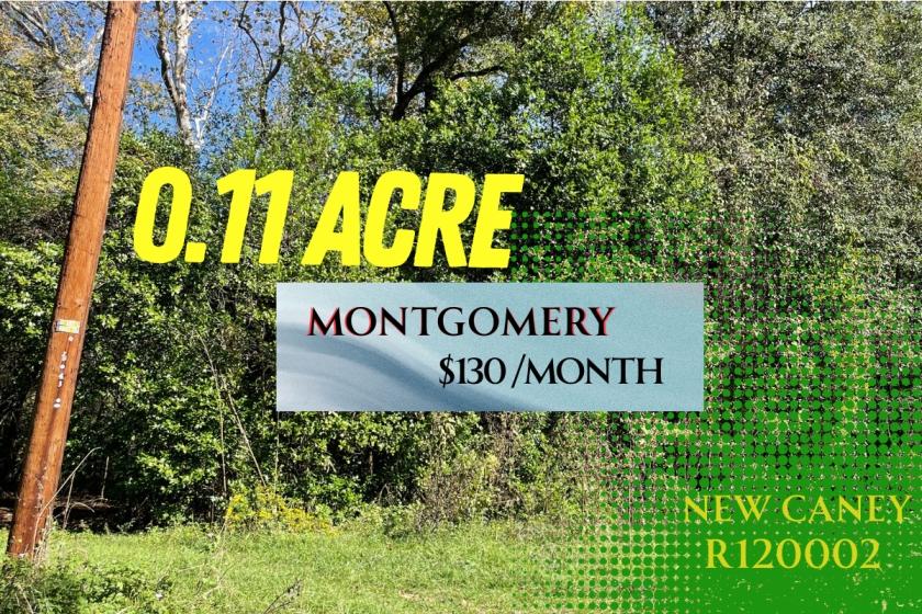 0.11 Acres for Sale in New Caney, Texas