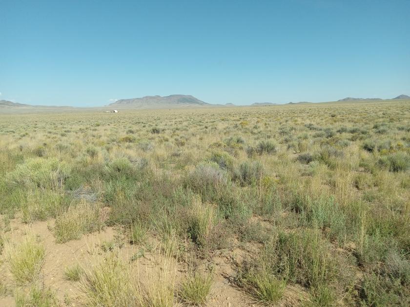 5.01 Acres for Sale in Mesita, Colorado