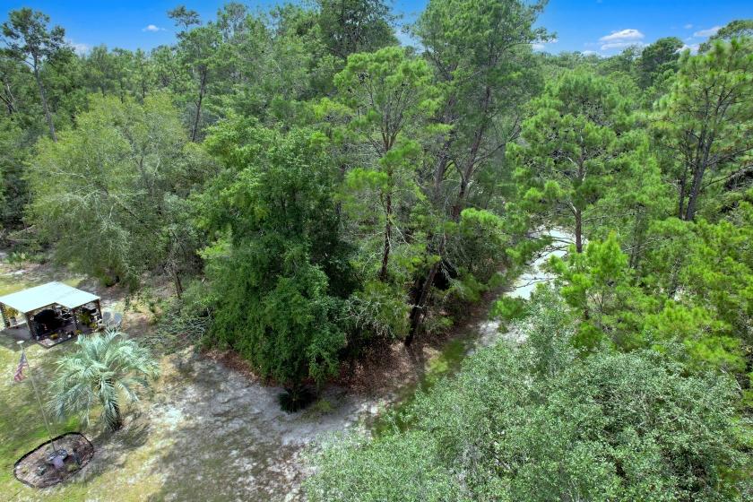 0.23 Acres for Sale in Satsuma, Florida