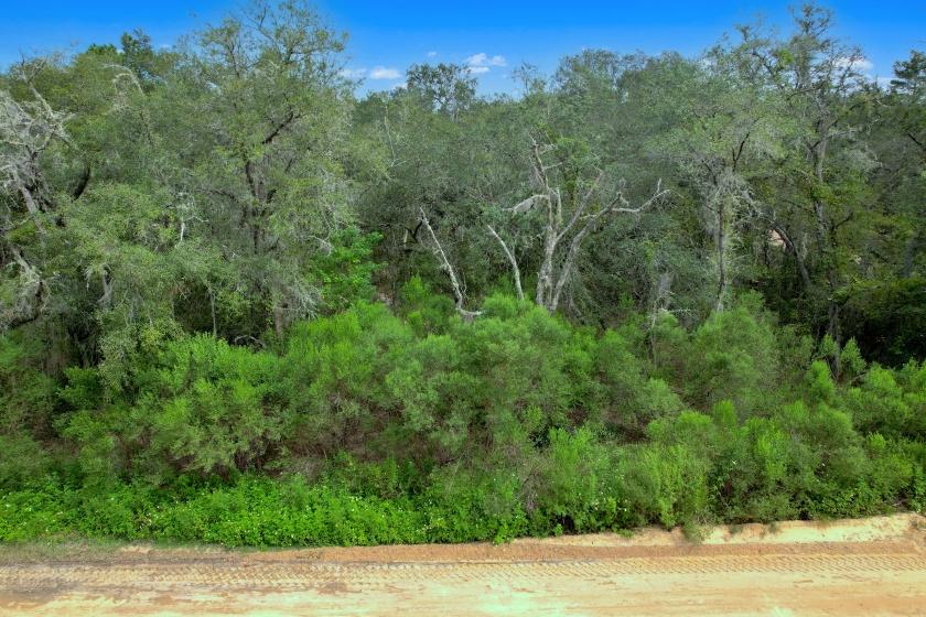 0.51 Acres for Sale in Interlachen, Florida