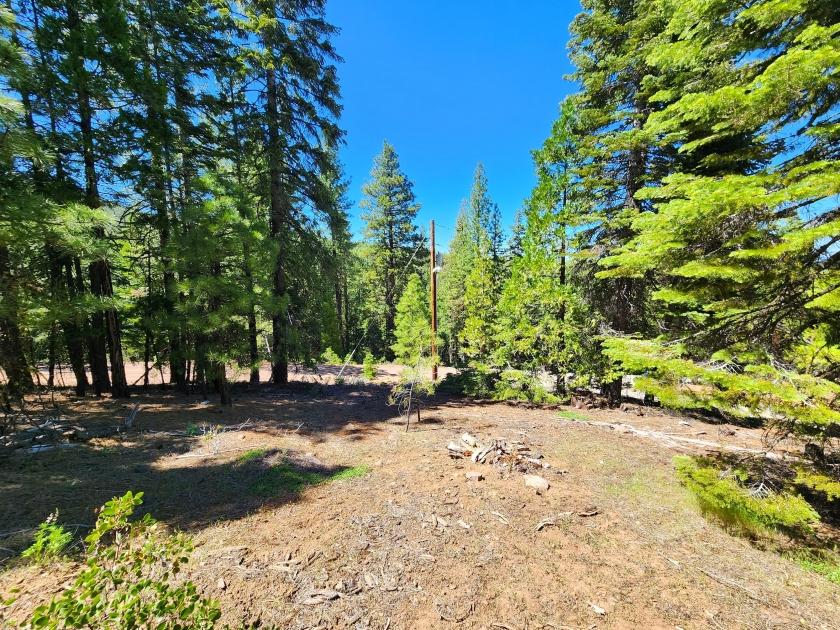 0.9 Acres for Sale in California Pines, California