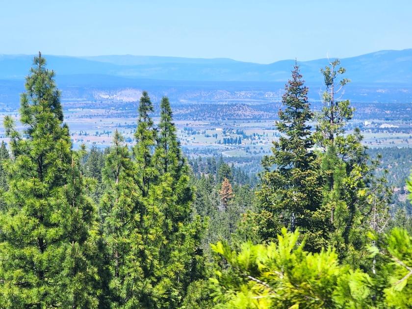 0.9 Acres for Sale in California Pines, California