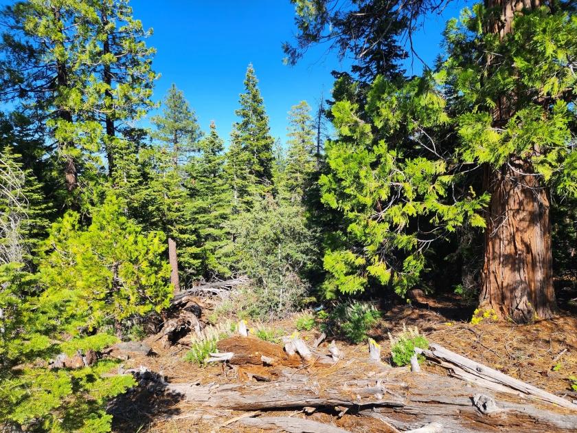 0.9 Acres for Sale in Alturas, California