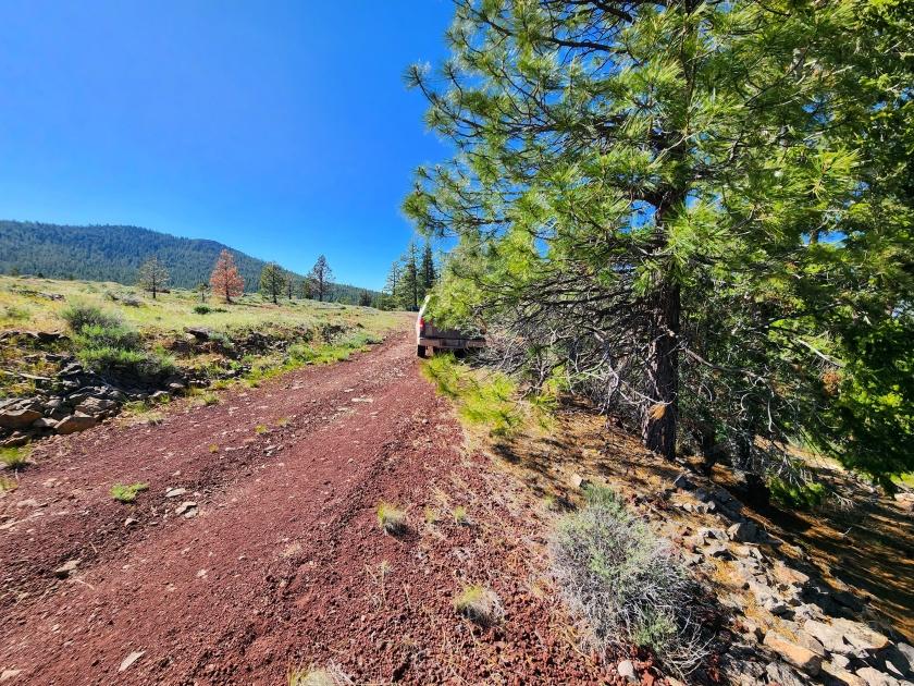 0.9 Acres for Sale in Alturas, California