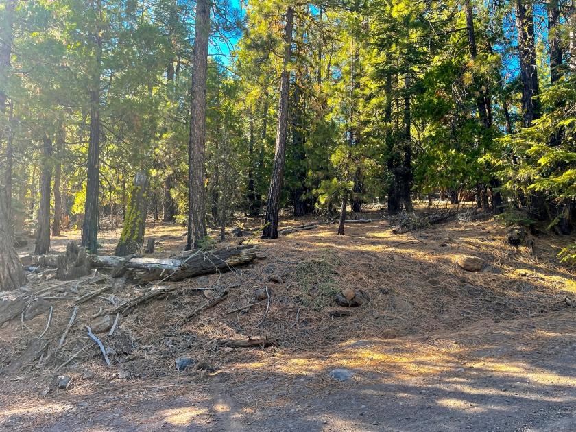 0.9 Acres for Sale in California Pines, California