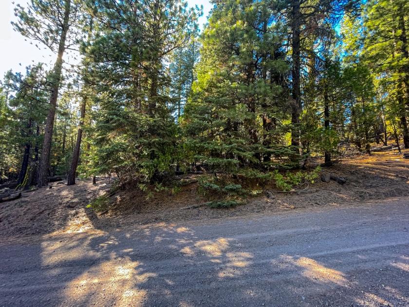 0.90 Acres for Sale in California Pines, California