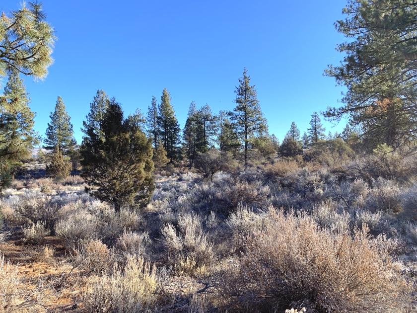 2.4 Acres for Sale in Sprague River, Oregon