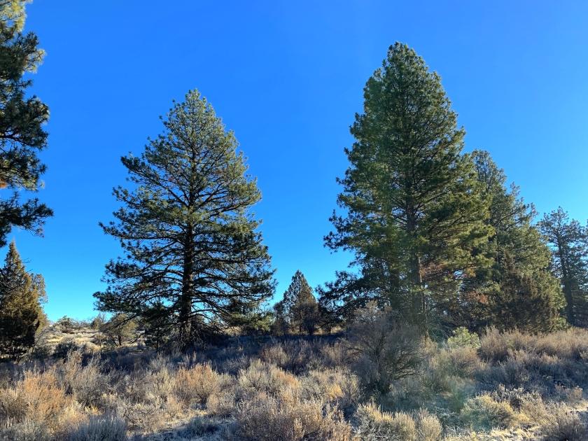 2.4 Acres for Sale in Sprague River, Oregon