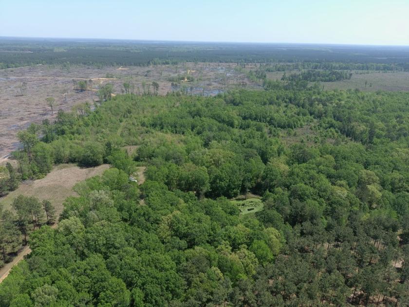 40.00 Acres for Sale in Bradley, Arkansas