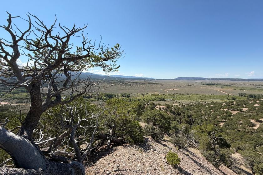 5.03 Acres for Sale in Fort Garland, Colorado