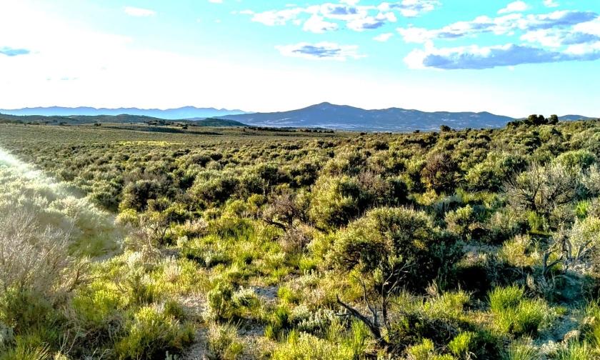 40 Acres for Sale in Montello, Nevada