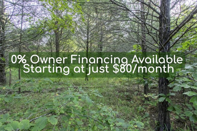 0.30 Acres for Sale in Horseshoe Bend, Arkansas