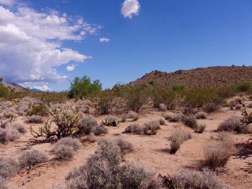 4.70 Acres for Sale in Yucca, Arizona