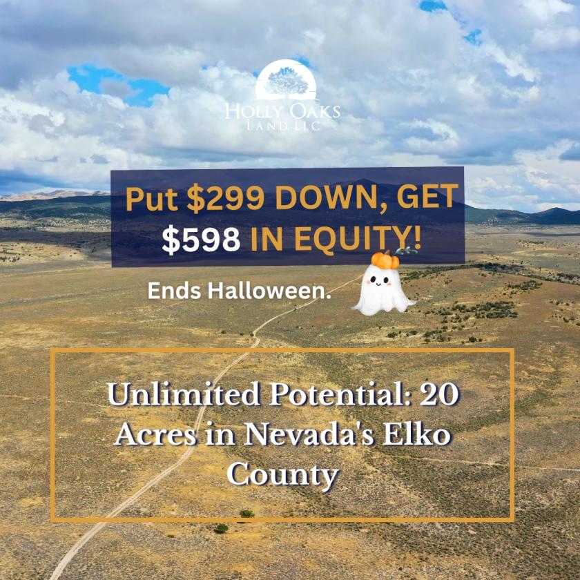 20 Acres for Sale in Halleck, Nevada